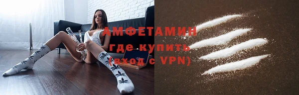 крисы Алзамай