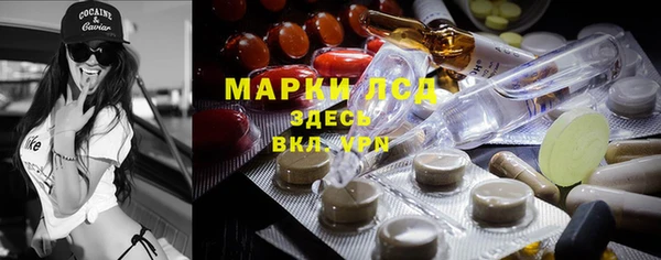 крисы Алзамай