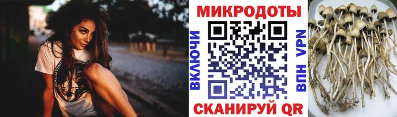 Галлюциногенные грибы GOLDEN TEACHER  купить   Сысерть 